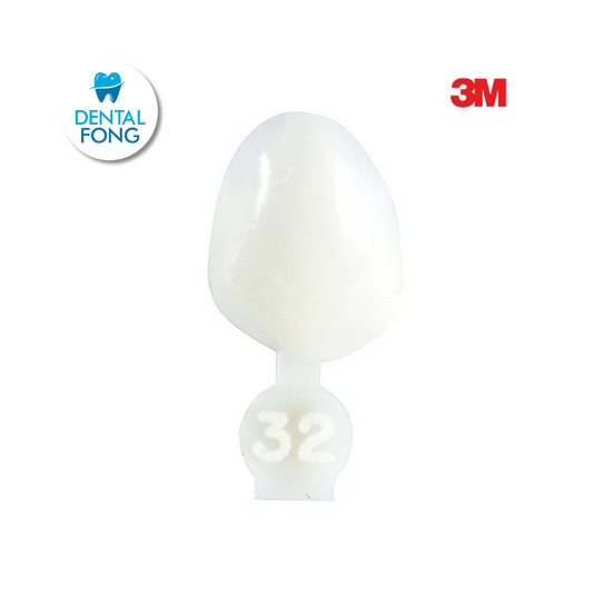 CORONA CANINO # 32 POLY