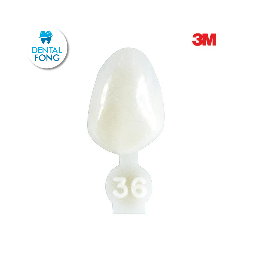 CORONA CANINO # 36 POLY