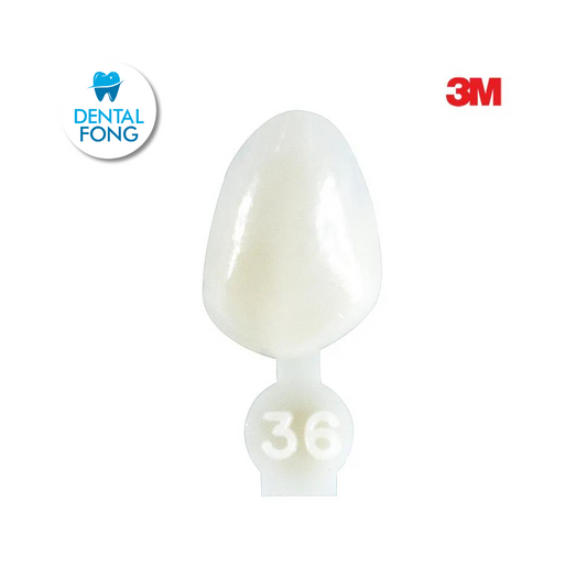 CORONA CANINO # 36 POLY