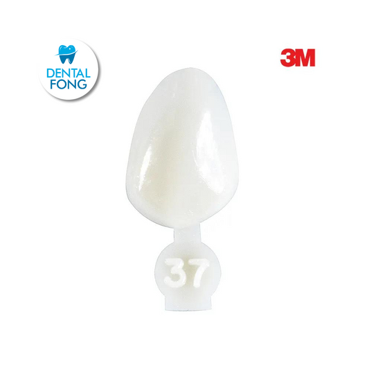 CORONA CANINO # 37 POLY