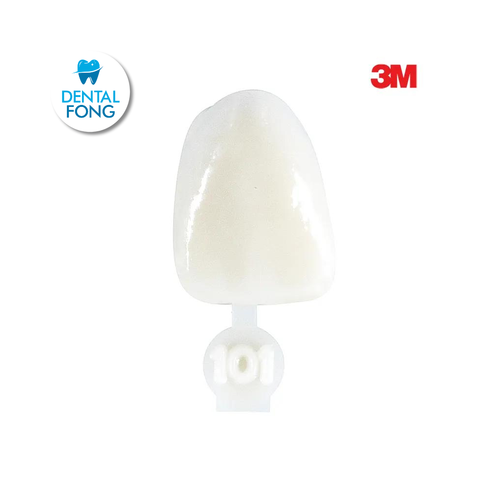 CORONA CENTRAL # 101 POLY