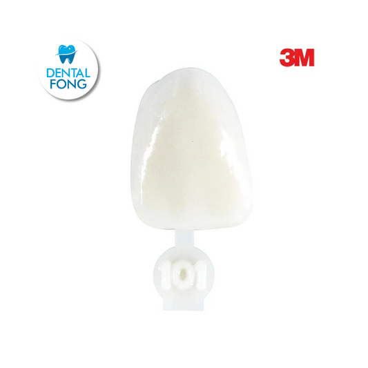 CORONA CENTRAL # 101 POLY