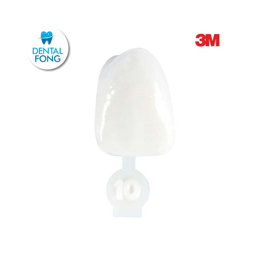 CORONA CENTRAL # 10 POLY