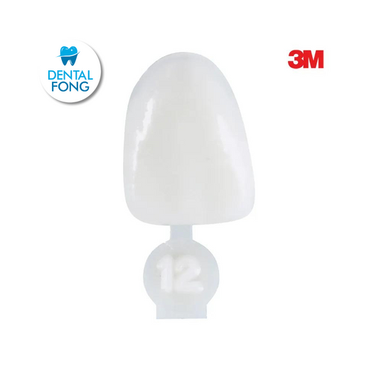 CORONA CENTRAL # 12 POLY