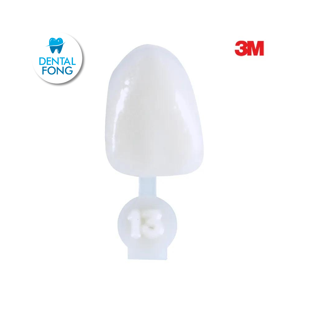 CORONA CENTRAL # 13 POLY