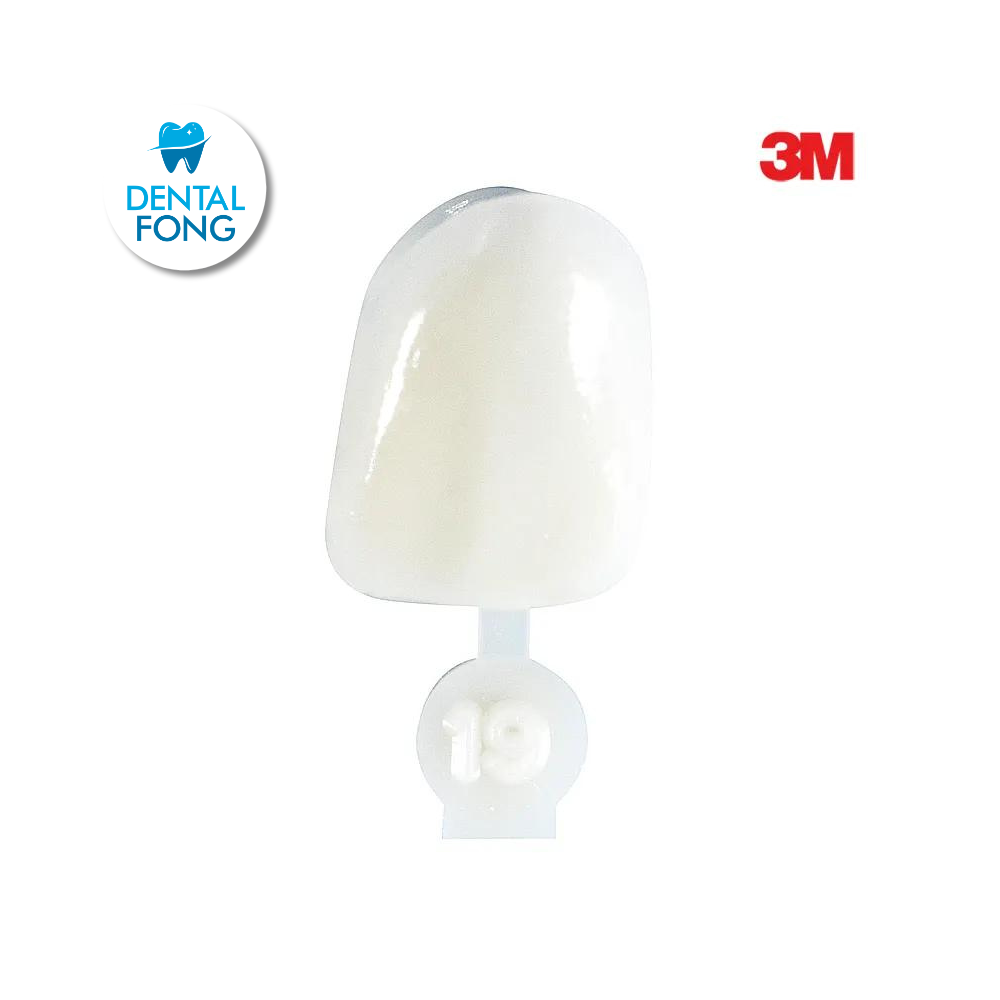 CORONA CENTRAL # 19 POLY