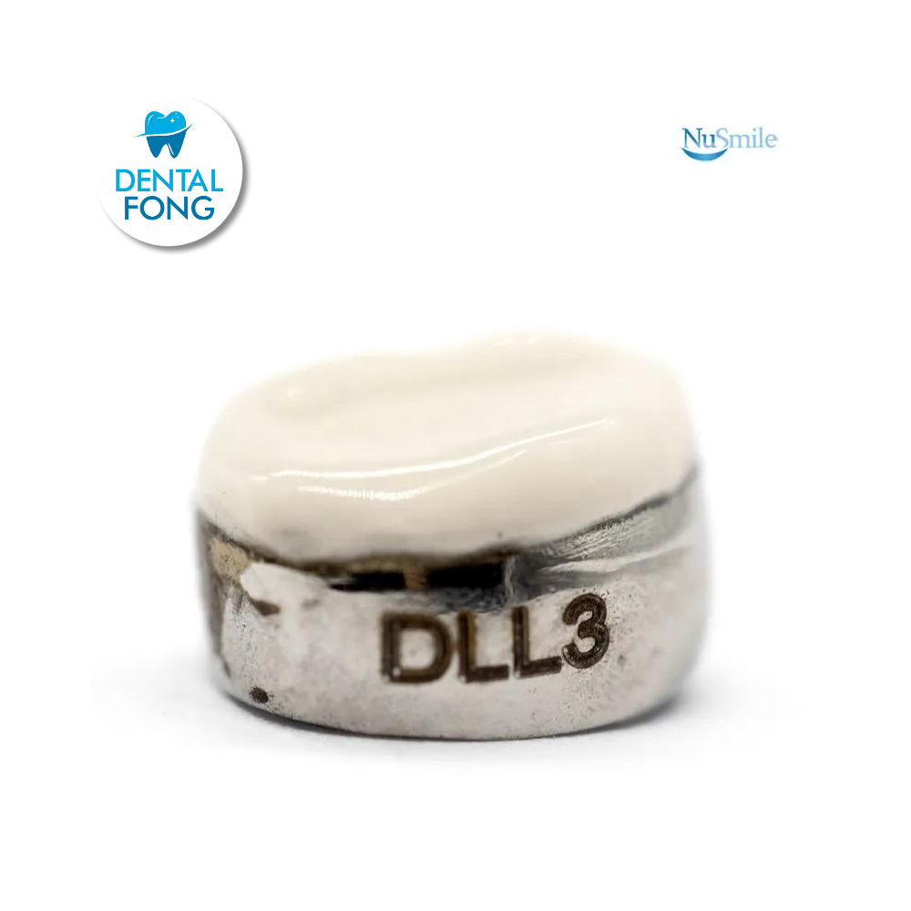 CORONA FRENTE ESTETICO INF-IZQ 1er. MOLAR TEMPORAL #3 CLARO (DLL3106L)