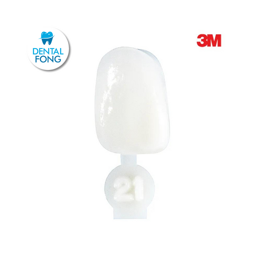 CORONA LATERAL # 21 POLY