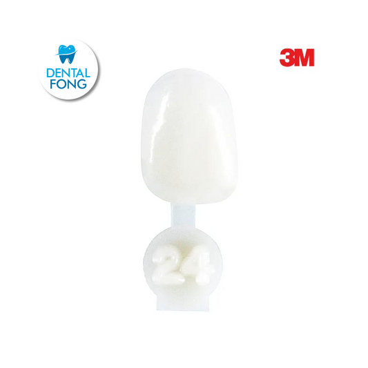 CORONA LATERAL # 24 POLY