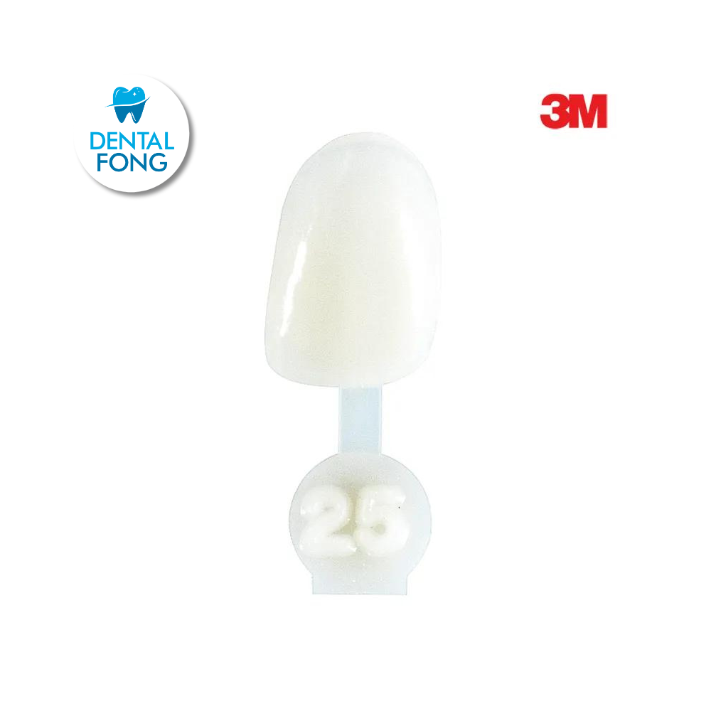 CORONA LATERAL # 25 POLY