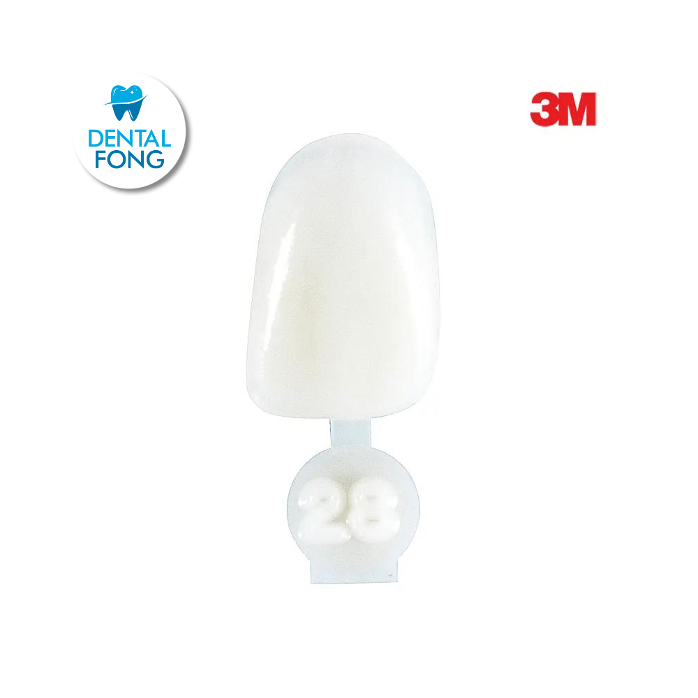 CORONA LATERAL # 28 POLY