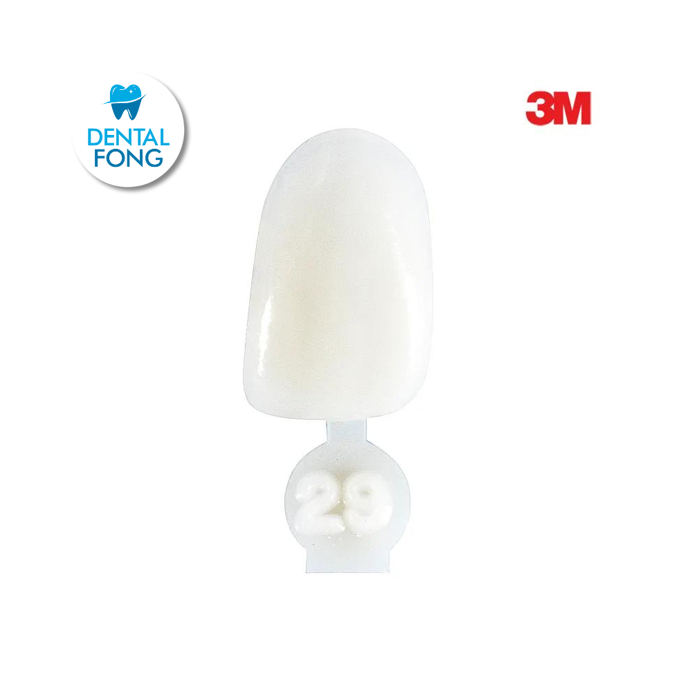 CORONA LATERAL # 29 POLY