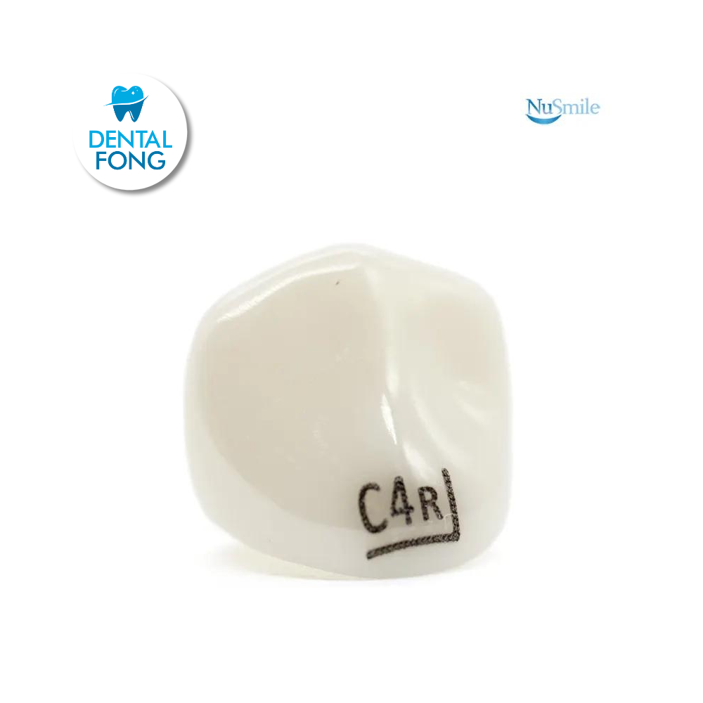 CORONA ZR CANINO-INFERIOR DERECHO #4 CLARO (LC4R204L)