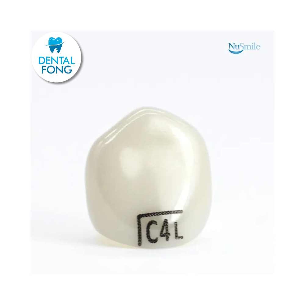 CORONA ZR CANINO-INFERIOR IZQUIERDO #4 CLARO (LC4L204L)