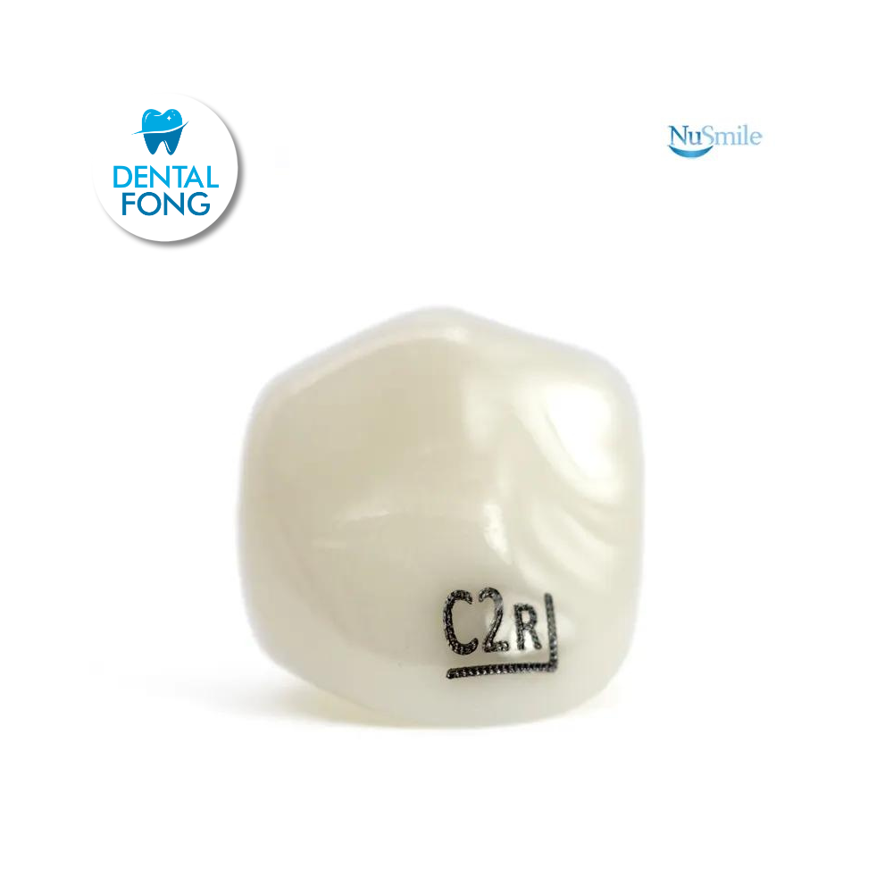 CORONA ZR CANINO SUPERIOR-DERECHO #2 CLARO (C2R204L)