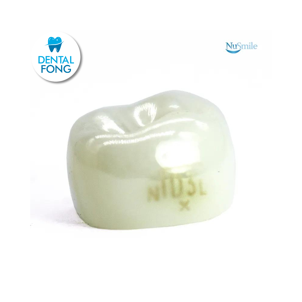 CORONA ZR INF-IZQ1erMOLA TEMP#3 ANGO XCLARO(DLL3207X)