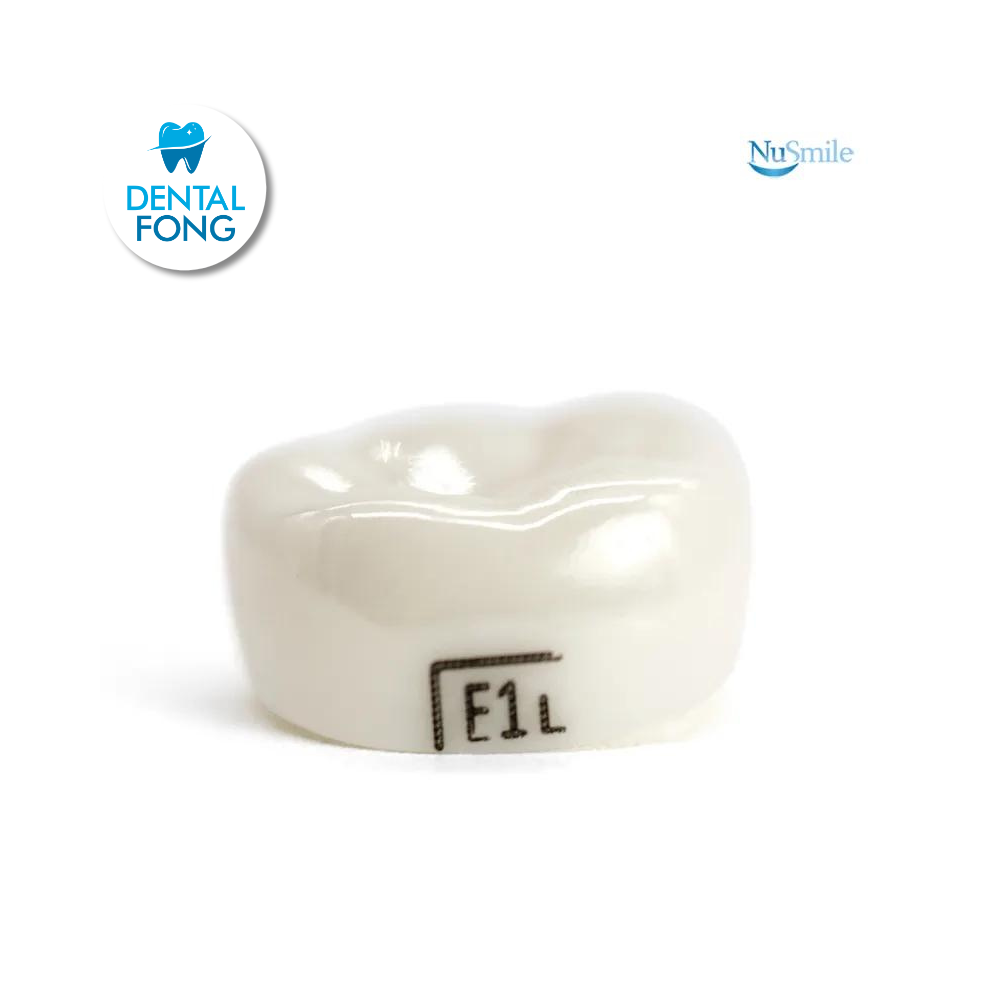 CORONA ZR INF-IZQ 2do. MOLAR TEMPORAL #1 CLARO (ELL1206L)