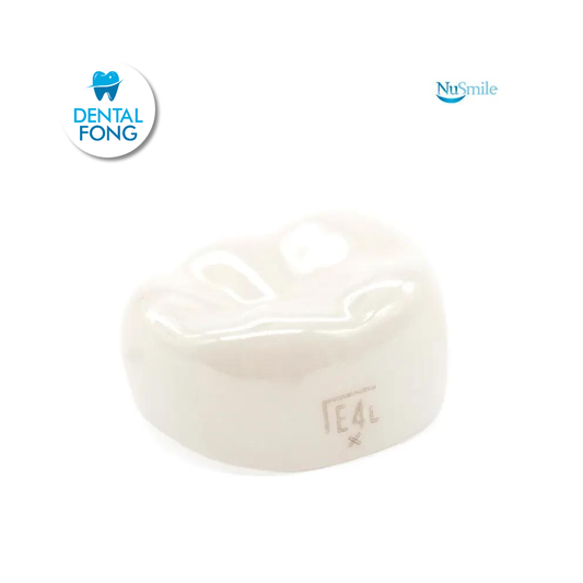 CORONA ZR INF-IZQ 2do. MOLAR TEMPORAL #4 EXTRA-CLARO (ELL4206X)