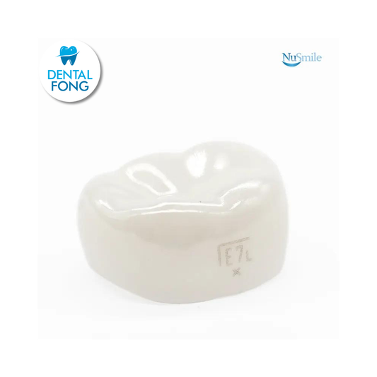 CORONA ZR INF-IZQ 2do. MOLAR TEMPORAL #7 EXTRA-CLARO (ELL7206X)