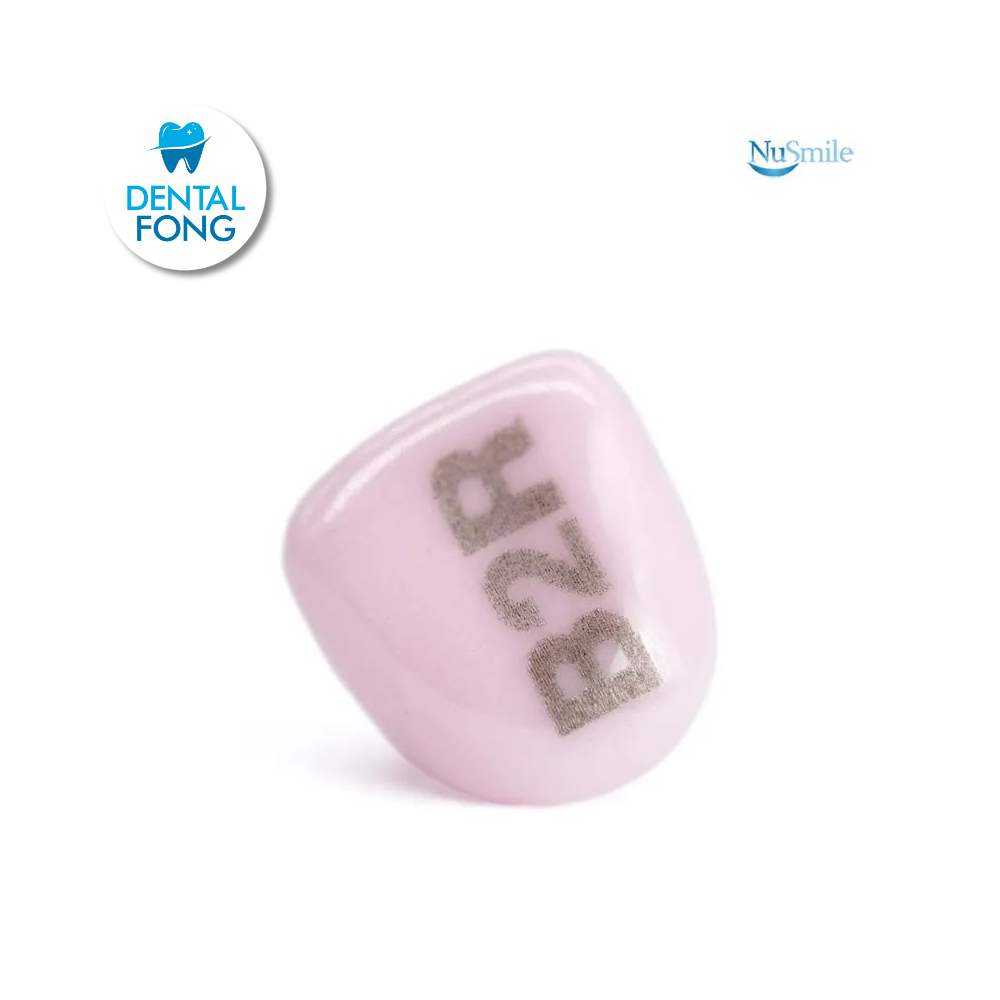 CORONA ZR LATERAL DERECHO #2 DE PRUEBA (B2R304)