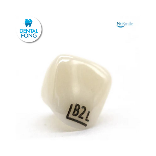 CORONA ZR LATERAL IZQUIERDO #2 CLARO (B2L204L)