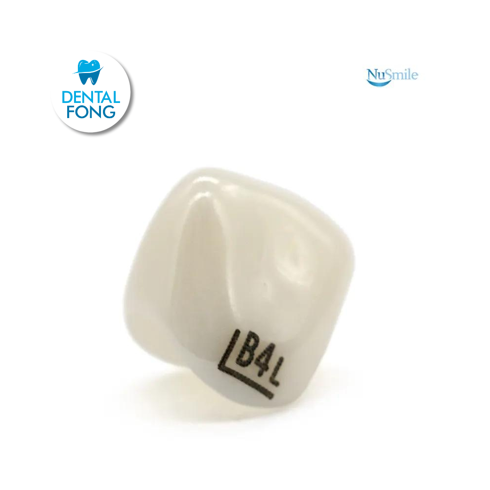 CORONA ZR LATERAL IZQUIERDO #4 CLARO (B4L204L)