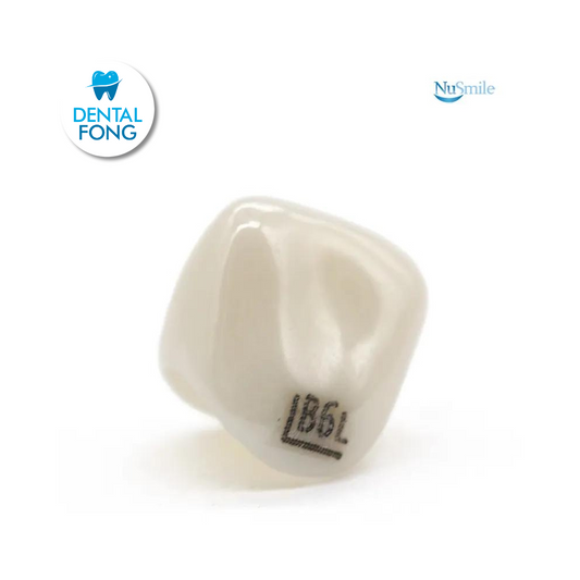 CORONA ZR LATERAL IZQUIERDO #6 CLARO (B6L204L)