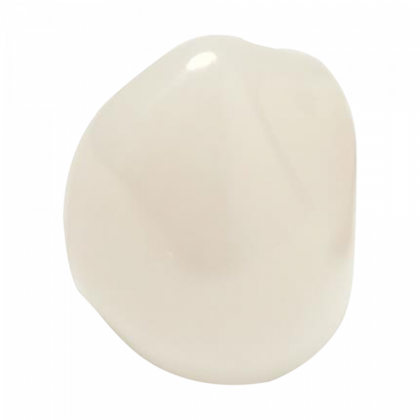 Coronas de zirconia Nusmile – Canino inferior derecho