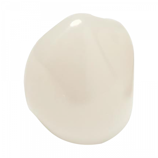 Coronas de zirconia Nusmile – Canino inferior derecho