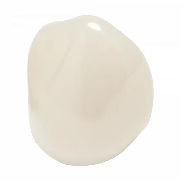 Coronas de zirconia Nusmile – Canino inferior izquierdo