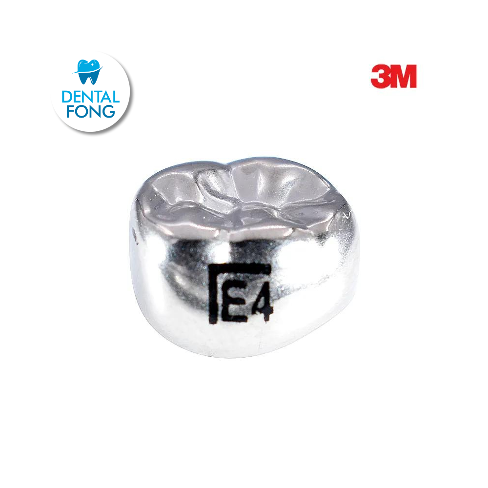 ELL4 SEGUNDO MOLAR INFERIOR IZQUIERDO