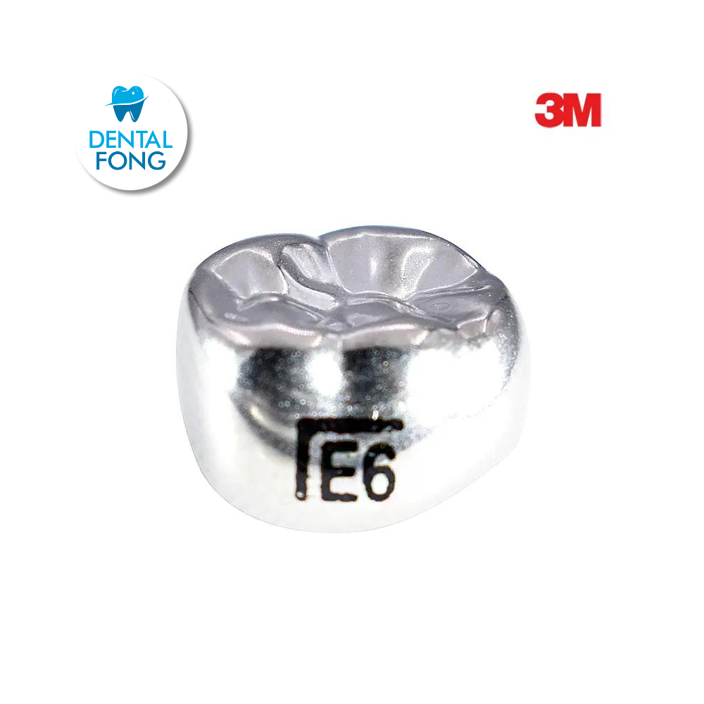 ELL6 SEGUNDO MOLAR INFERIOR IZQUIERDO