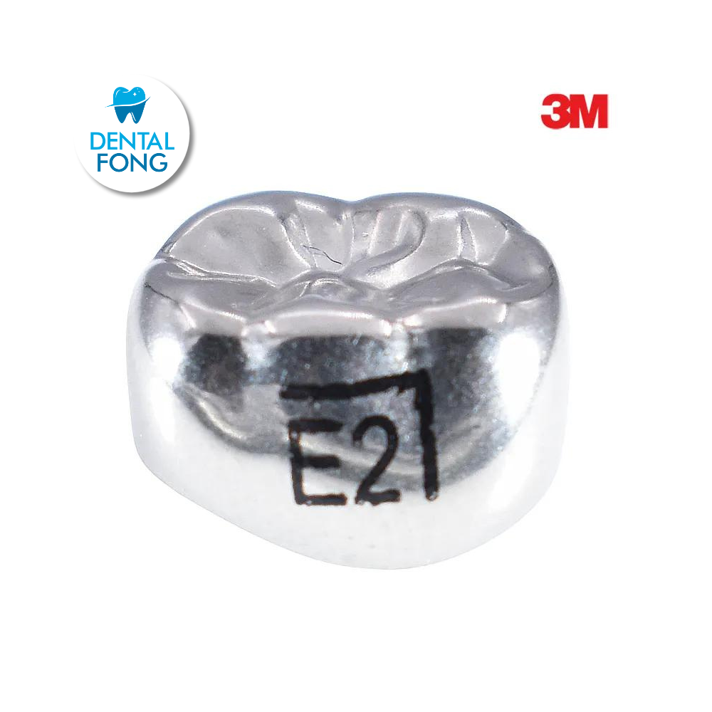 ELR2 SEGUNDO MOLAR INFERIOR DERECHO