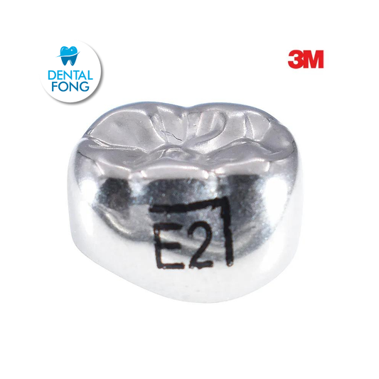 ELR2 SEGUNDO MOLAR INFERIOR DERECHO