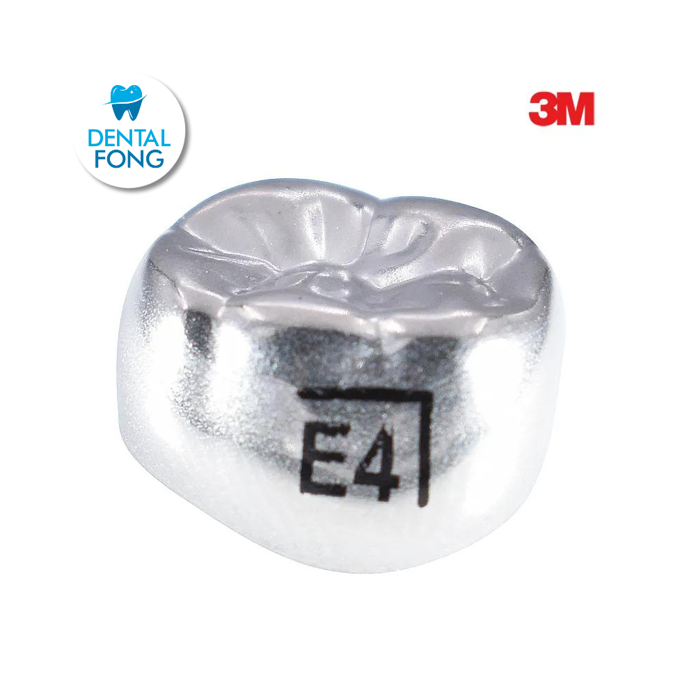 ELR4 SEGUNDO MOLAR INFERIOR DERECHO