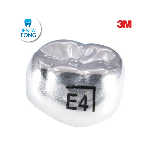 ELR4 SEGUNDO MOLAR INFERIOR DERECHO