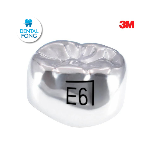 ELR6 SEGUNDO MOLAR INFERIOR DERECHO