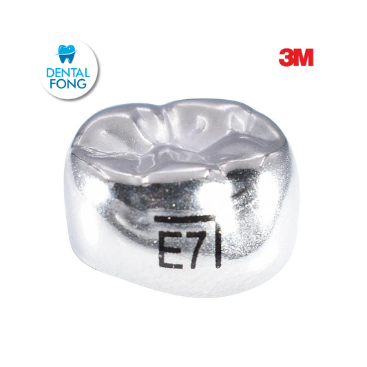 ELR7 SEGUNDO MOLAR INFERIOR DERECHO