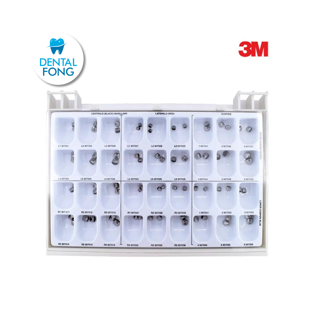 ESTUCHE CORONAS ANTERIORES CON 72