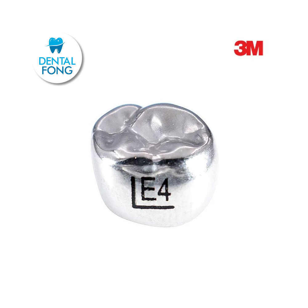 EUL4 SEGUNDO MOLAR SUPERIOR IZQUIERDO