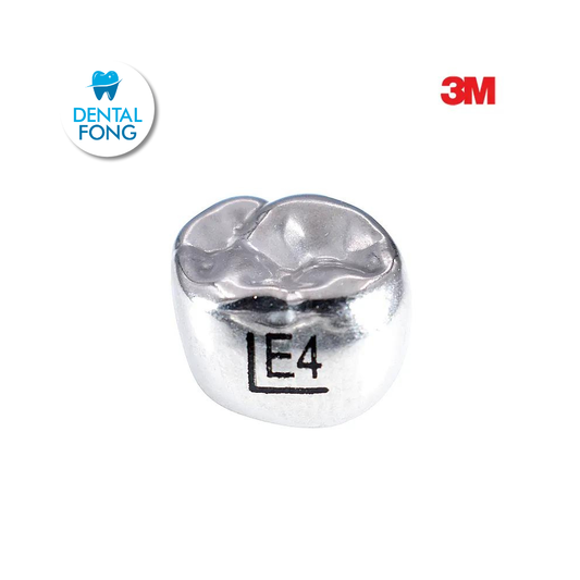 EUL4 SEGUNDO MOLAR SUPERIOR IZQUIERDO