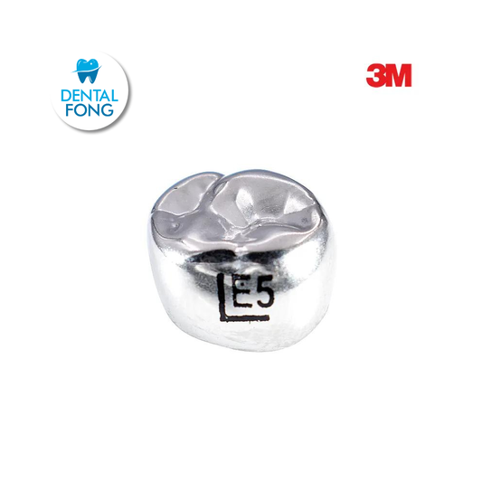 EUL5 SEGUNDO MOLAR SUPERIOR IZQUIERDO