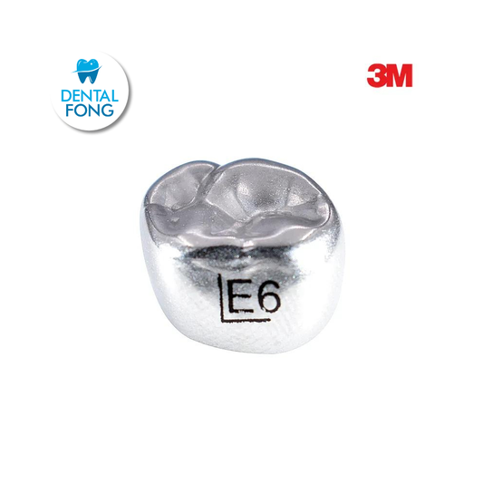 EUL6 SEGUNDO MOLAR SUPERIOR IZQUIERDO