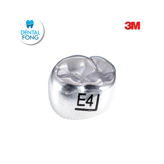 EUR4 SEGUNDO MOLAR SUPERIOR DERECHO