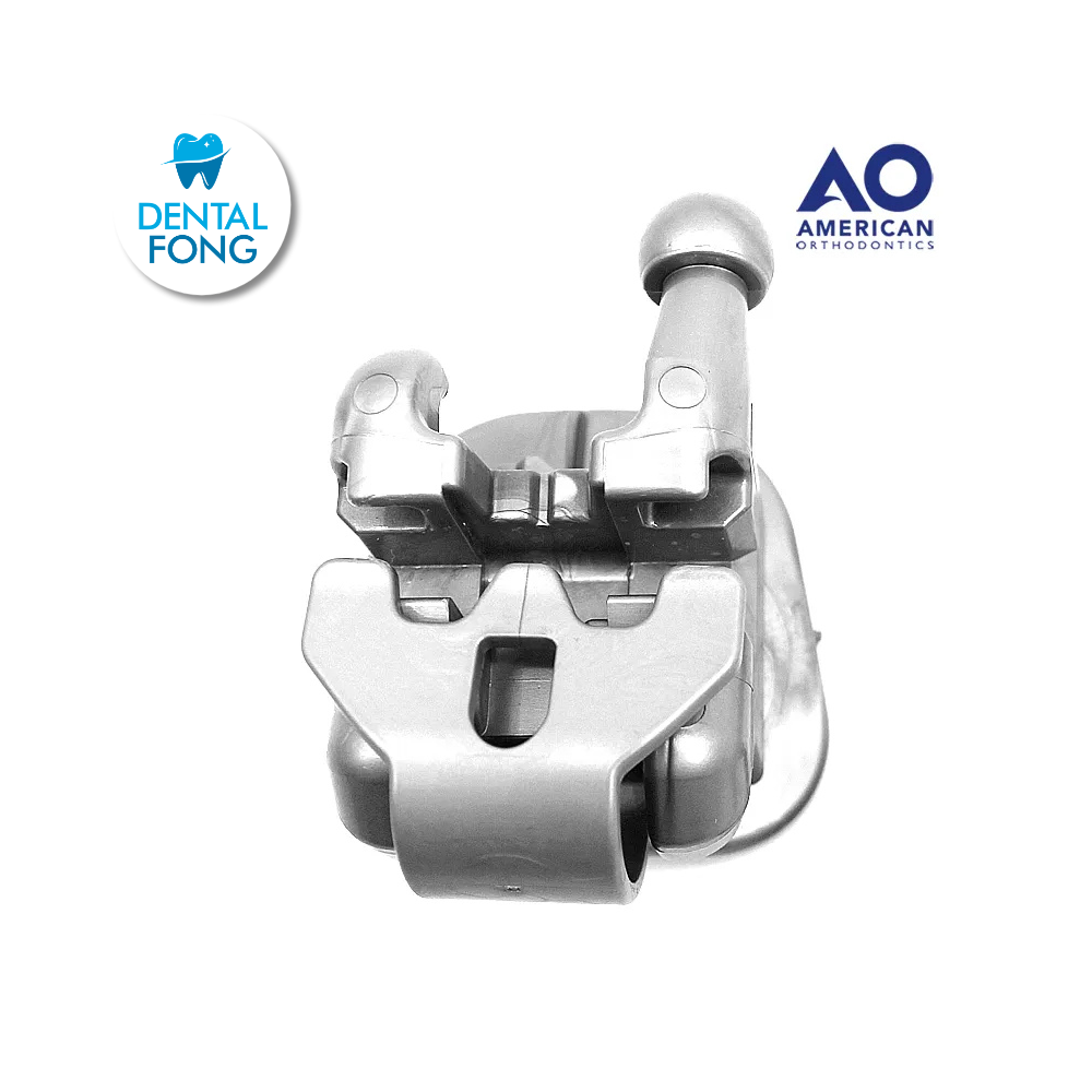 MODELO DE BRACKET EMPOWER INTERACTIVO