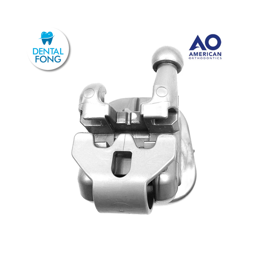 MODELO DE BRACKET EMPOWER INTERACTIVO