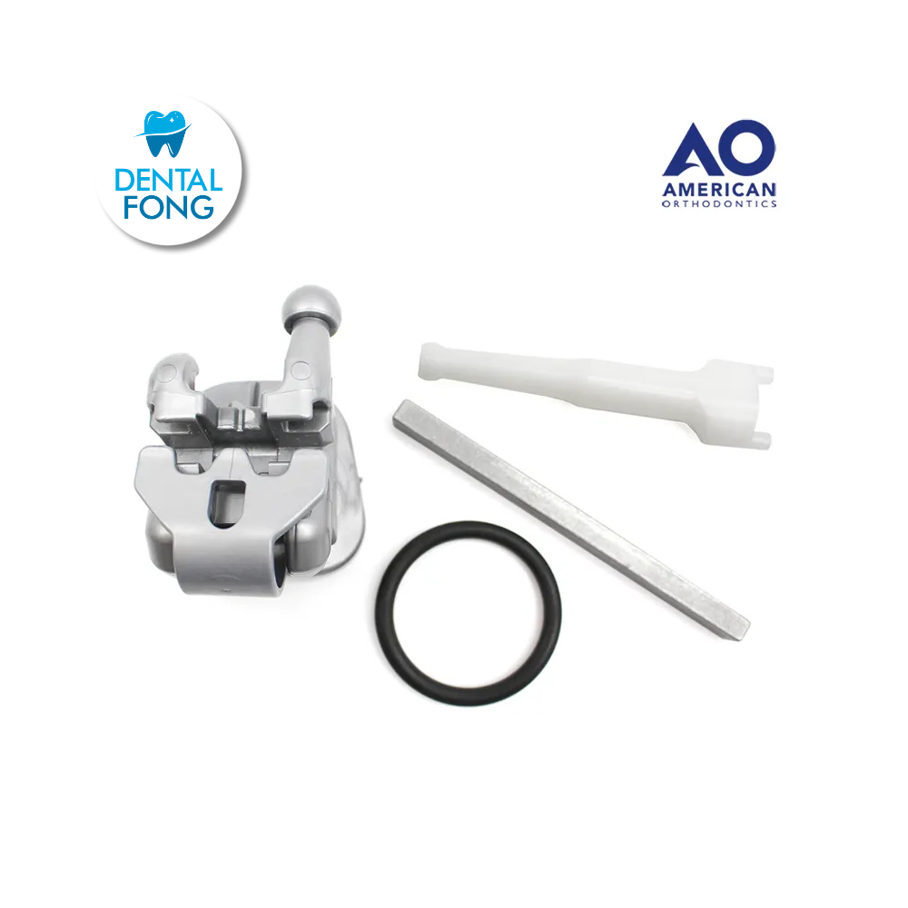 MODELO DE BRACKET EMPOWER INTERACTIVO