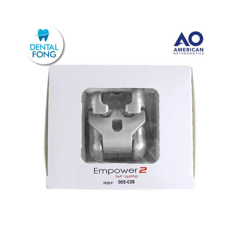 MODELO DE BRACKET EMPOWER INTERACTIVO