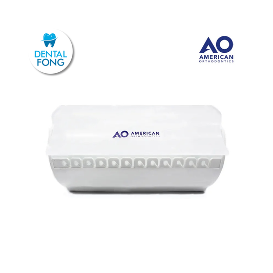 ORGANIZADOR DE CADENAS PARA 12 ROLLOS