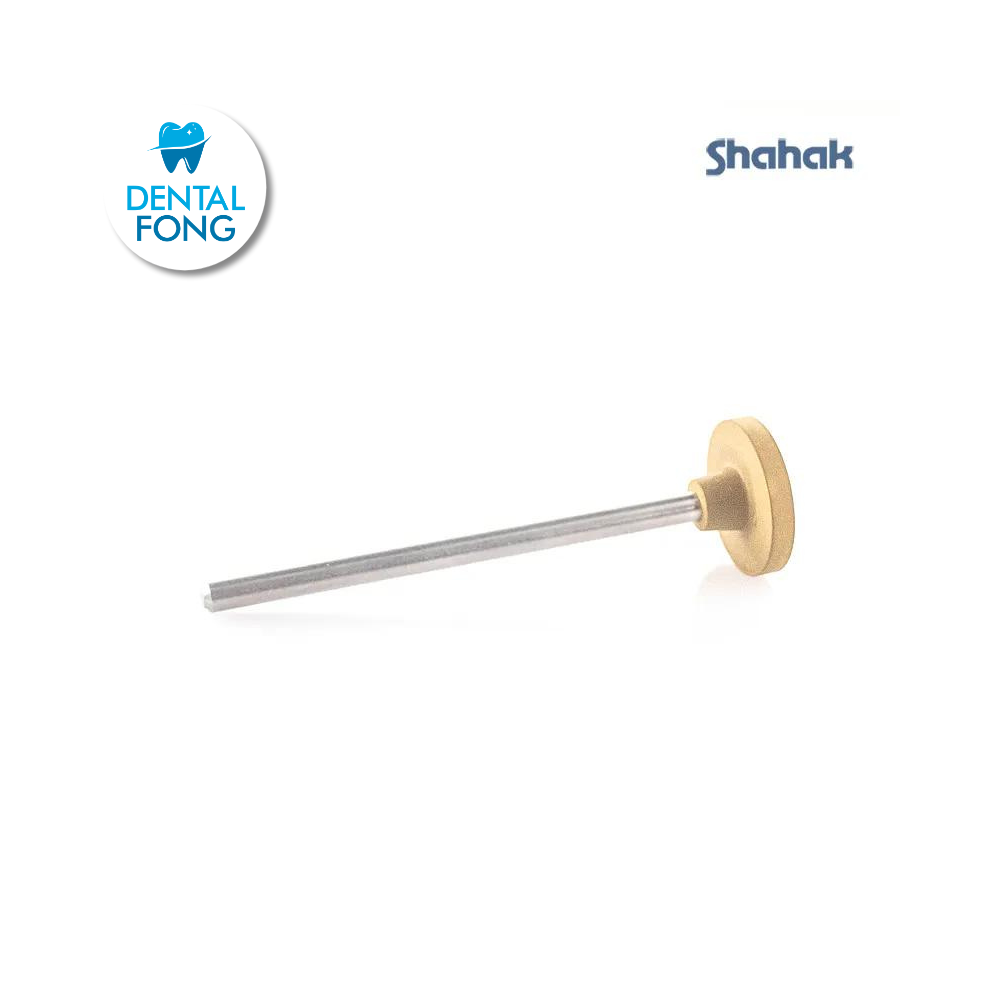 PIEDRA MONTADºA 1020P 2mm CARRO SHAHAK